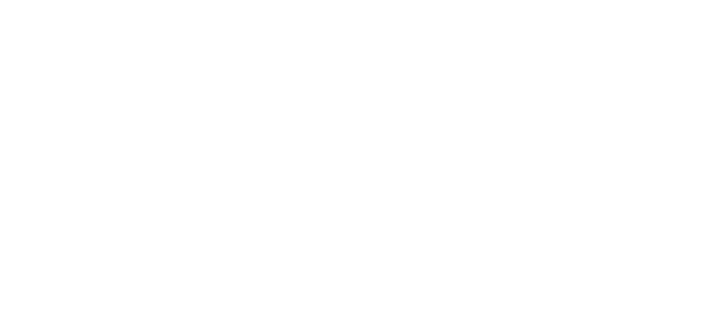 Nieuwe DNJI Logo | The Hendriks Company